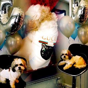 Meet your Posher, Shica